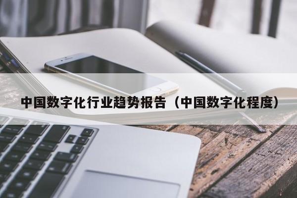 中国数字化行业趋势报告（中国数字化程度）