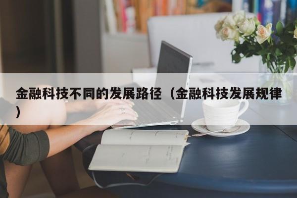 金融科技不同的发展路径（金融科技发展规律）