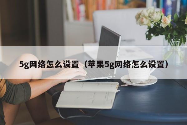 5g网络怎么设置（苹果5g网络怎么设置）