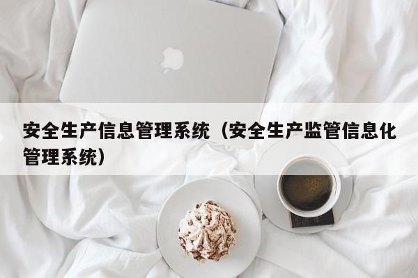 安全生产信息管理系统（安全生产监管信息化管理系统）