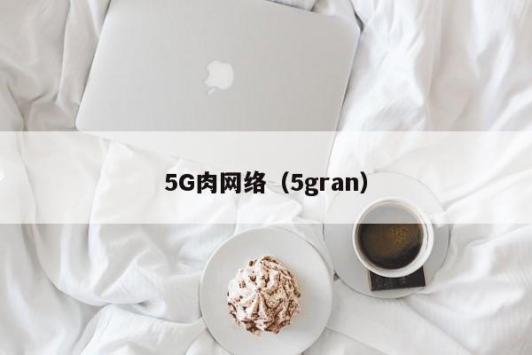 5G肉网络（5gran）