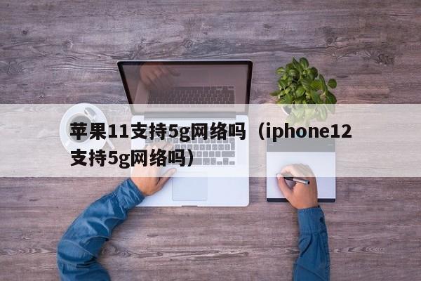 苹果11支持5g网络吗（iphone12支持5g网络吗）