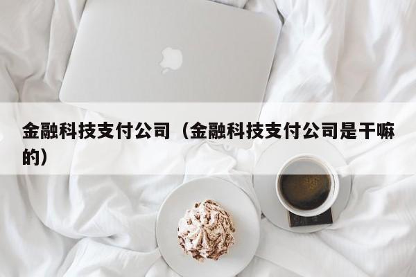 金融科技支付公司（金融科技支付公司是干嘛的）