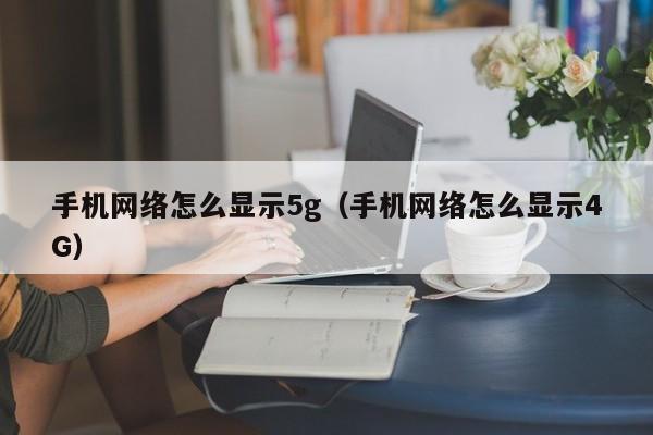 手机网络怎么显示5g（手机网络怎么显示4G）