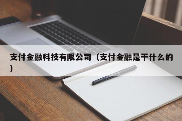 支付金融科技有限公司（支付金融是干什么的）