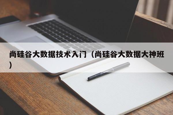 尚硅谷大数据技术入门（尚硅谷大数据大神班）