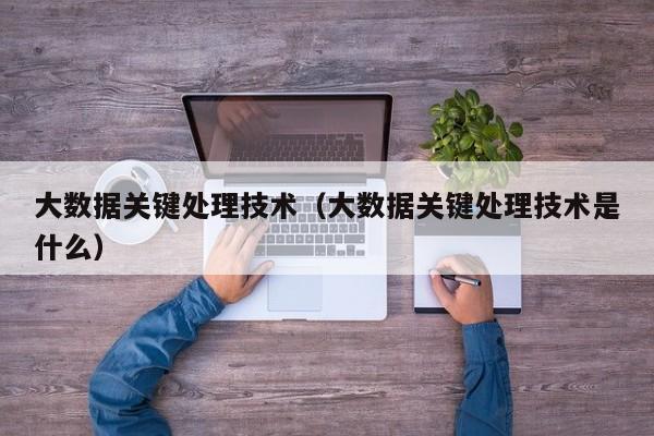 大数据关键处理技术（大数据关键处理技术是什么）