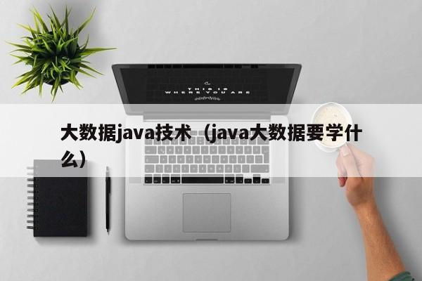 大数据java技术（java大数据要学什么）