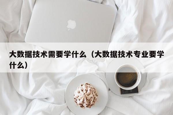 大数据技术需要学什么（大数据技术专业要学什么）