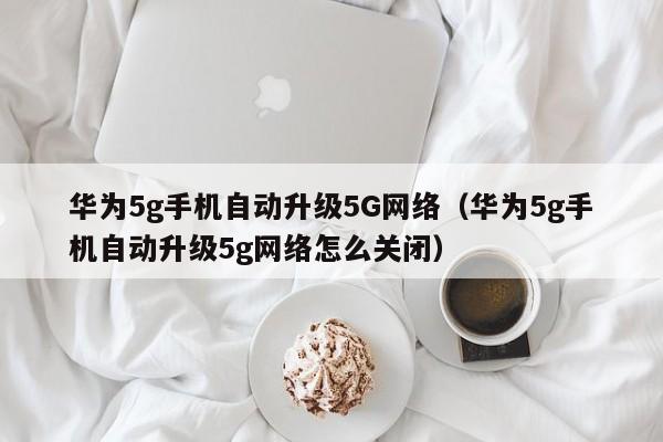 华为5g手机自动升级5G网络（华为5g手机自动升级5g网络怎么关闭）