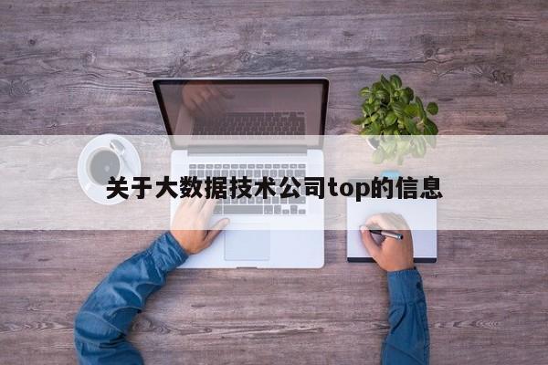 关于大数据技术公司top的信息