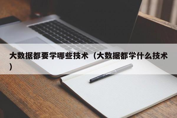 大数据都要学哪些技术（大数据都学什么技术）