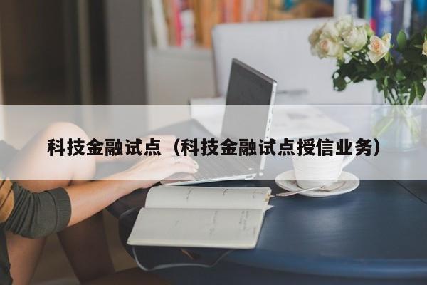 科技金融试点（科技金融试点授信业务）