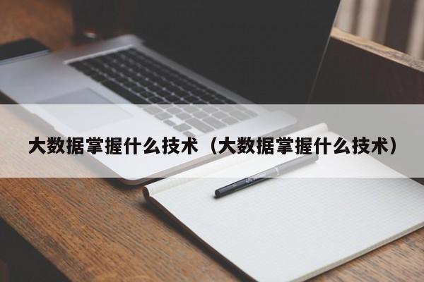 大数据掌握什么技术（大数据掌握什么技术）