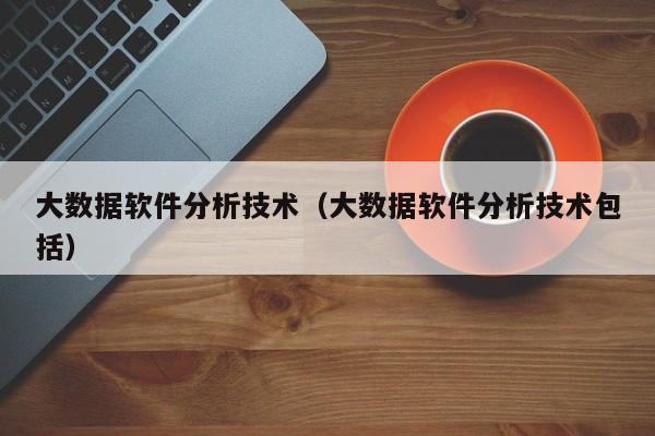 大数据软件分析技术（大数据软件分析技术包括）