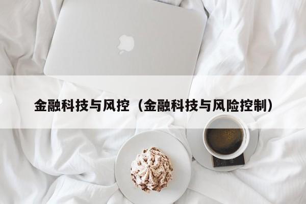 金融科技与风控（金融科技与风险控制）