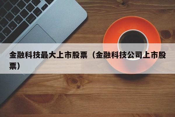 金融科技最大上市股票（金融科技公司上市股票）