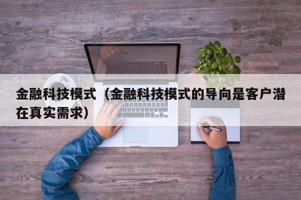 金融科技模式（金融科技模式的导向是客户潜在真实需求）