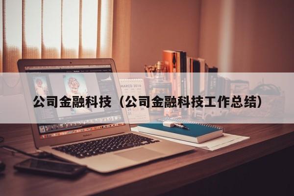 公司金融科技（公司金融科技工作总结）