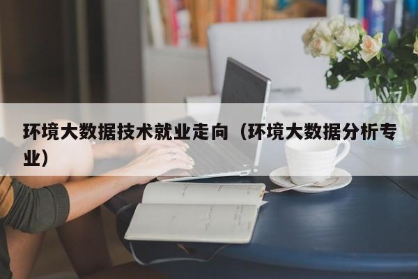 环境大数据技术就业走向（环境大数据分析专业）