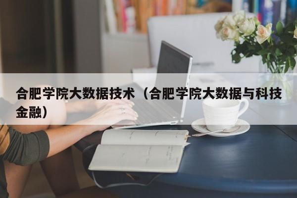 合肥学院大数据技术（合肥学院大数据与科技金融）