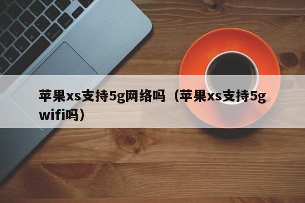 苹果xs支持5g网络吗（苹果xs支持5gwifi吗）