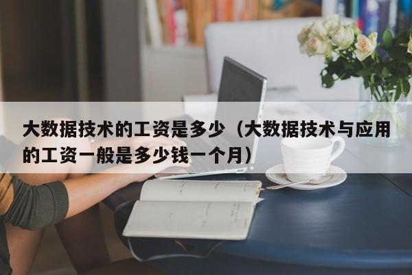 大数据技术的工资是多少（大数据技术与应用的工资一般是多少钱一个月）