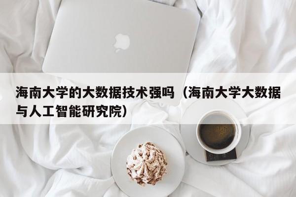 海南大学的大数据技术强吗（海南大学大数据与人工智能研究院）