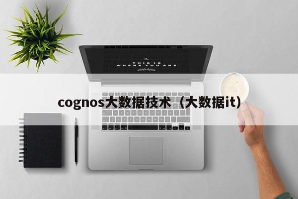 cognos大数据技术（大数据it）