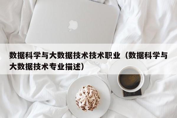 数据科学与大数据技术技术职业（数据科学与大数据技术专业描述）