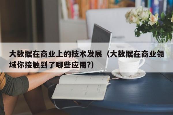 大数据在商业上的技术发展（大数据在商业领域你接触到了哪些应用?）