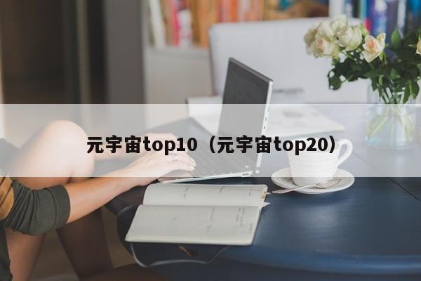 元宇宙top10（元宇宙top20）