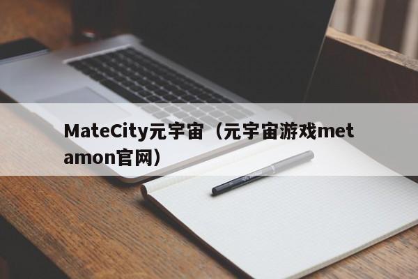 MateCity元宇宙（元宇宙游戏metamon官网）