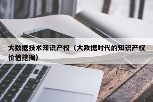 大数据技术知识产权（大数据时代的知识产权价值挖掘）