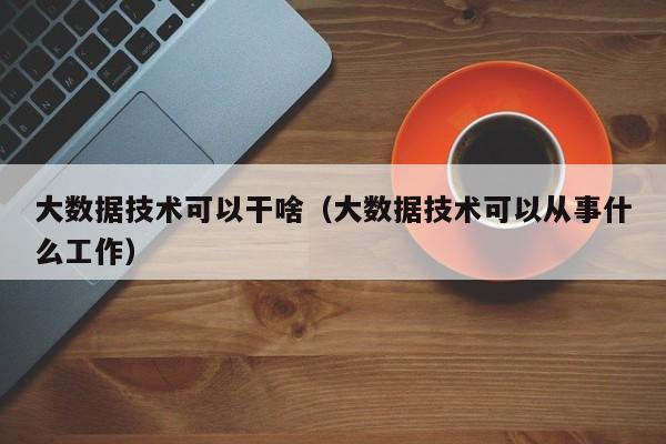 大数据技术可以干啥（大数据技术可以从事什么工作）