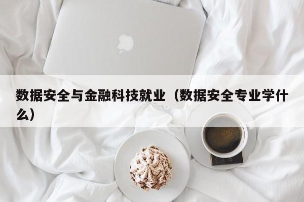 数据安全与金融科技就业（数据安全专业学什么）