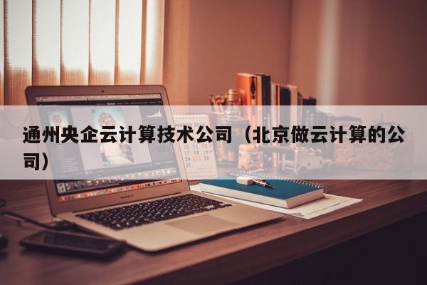 通州央企云计算技术公司（北京做云计算的公司）