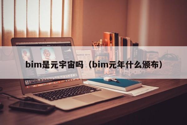 bim是元宇宙吗（bim元年什么颁布）