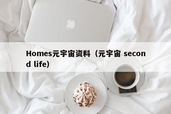 Homes元宇宙资料（元宇宙 second life）