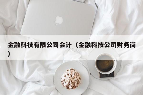 金融科技有限公司会计（金融科技公司财务岗）