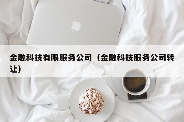 金融科技有限服务公司（金融科技服务公司转让）