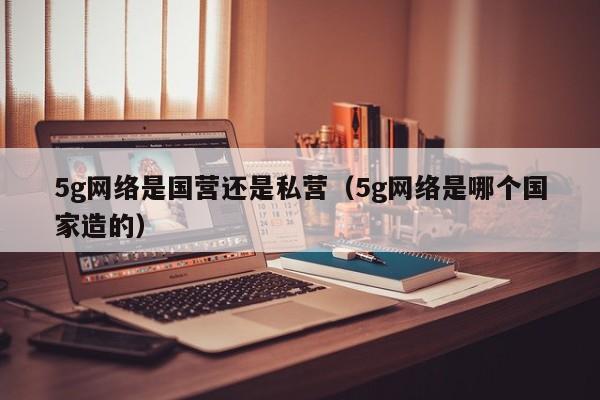 5g网络是国营还是私营（5g网络是哪个国家造的）