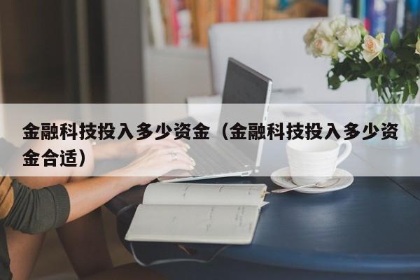 金融科技投入多少资金（金融科技投入多少资金合适）