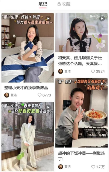 “第二个董洁”出现了？ 小红书还需更多“有故事的女同学”