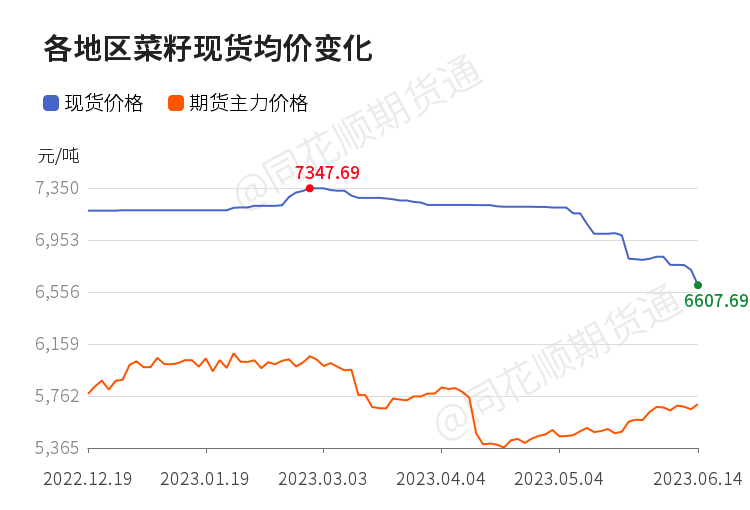 【现货】6月15日全国各地区菜籽现货价格汇总